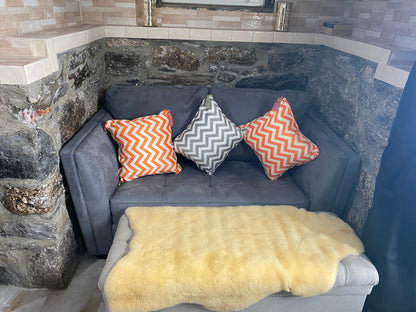 Accent Pillows